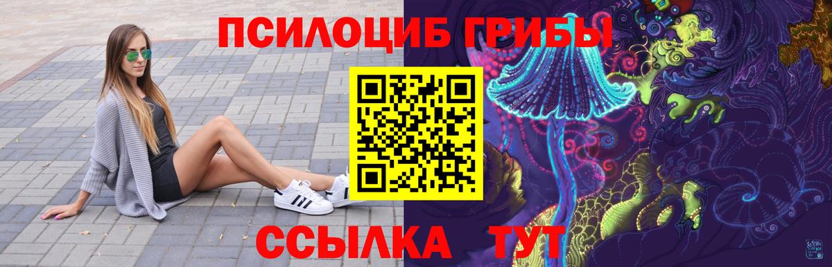 Псилоцибиновые грибы Cubensis Фролово